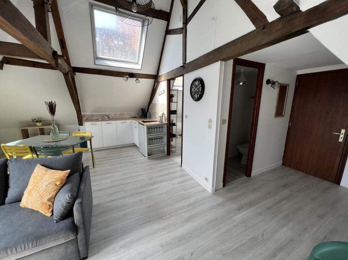 Magnifique appartement de caractère à Saint-Omer Esterno foto